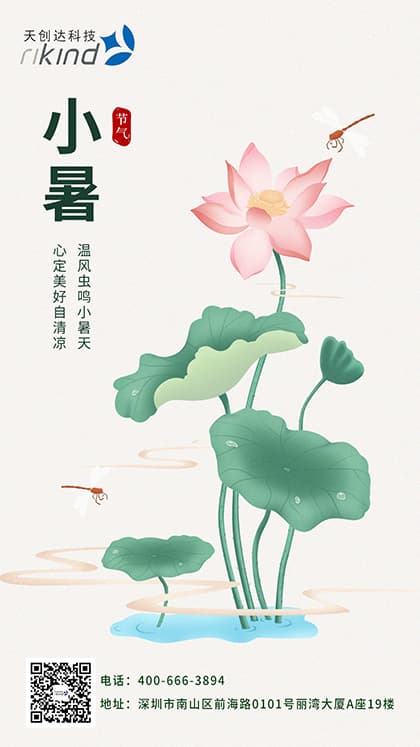 二十四节气|鸟语竹阴密,雨声荷叶香